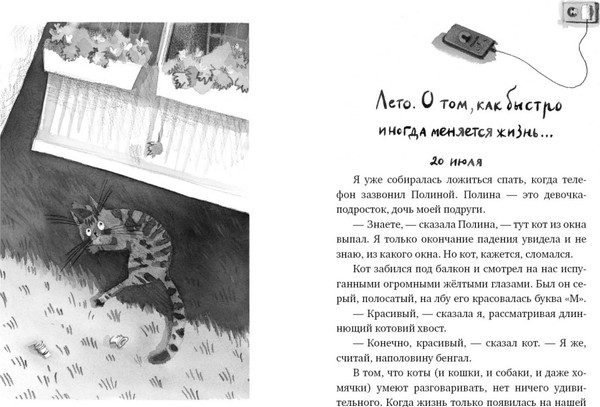 Изображение товара Книга Издательство Самокат Кот прямо с неба (Шанская Анастасия)