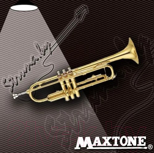 Изображение товара Труба Maxtone TTC-60/L-2