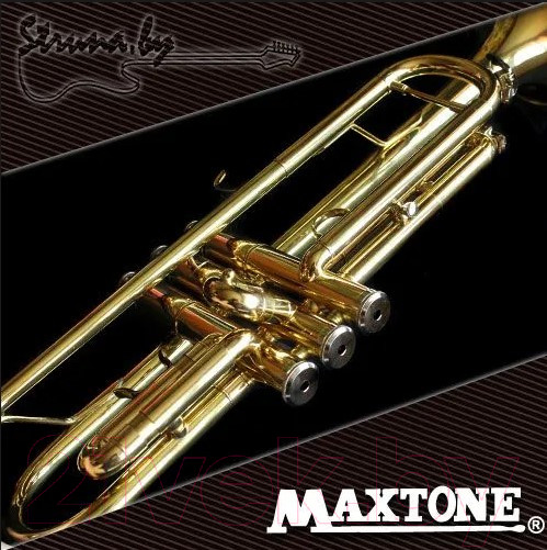 Изображение товара Труба Maxtone TTC-60/L-2