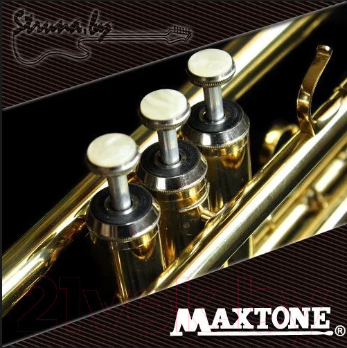Изображение товара Труба Maxtone TTC-60/L-2