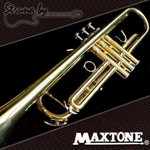 Изображение товара Труба Maxtone TTC-60/L-2