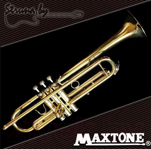 Изображение товара Труба Maxtone TTC-60/L-2