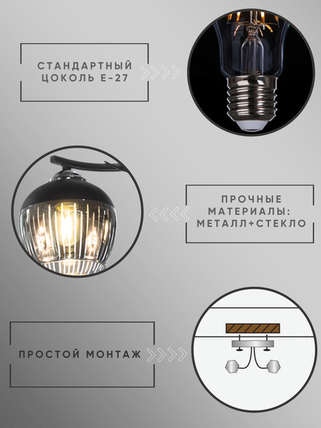 Изображение товара Потолочный светильник Aitin-Pro НПБ 02-2x60-101 / 5004/2 (черный/хром)