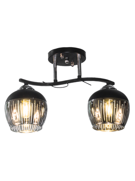 Изображение товара Потолочный светильник Aitin-Pro НПБ 02-2x60-101 / 5004/2 (черный/хром)