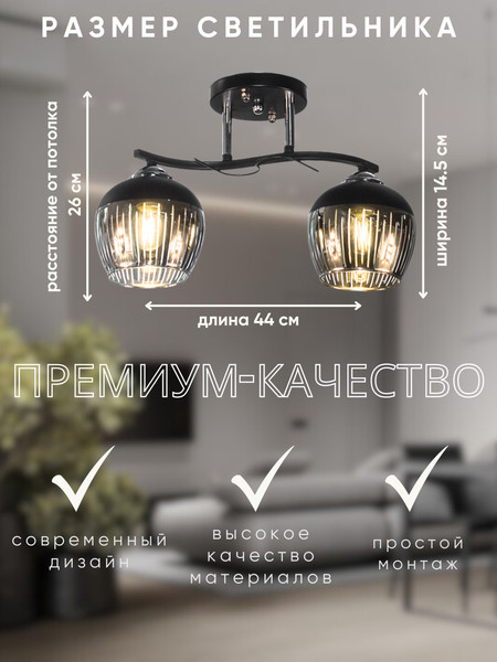 Изображение товара Потолочный светильник Aitin-Pro НПБ 02-2x60-101 / 5004/2 (черный/хром)