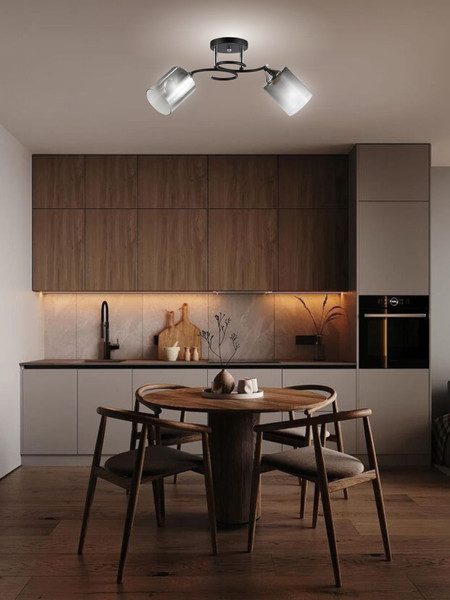 Изображение товара Потолочный светильник Aitin-Pro НПБ 02-2x60-101 / 5014/2 (черный/хром)