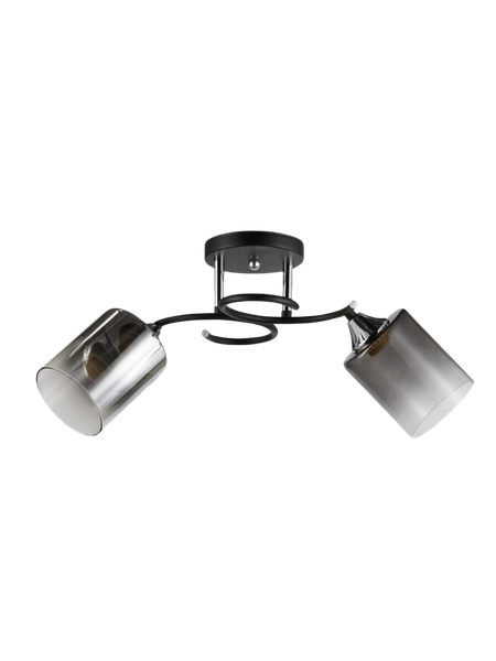 Изображение товара Потолочный светильник Aitin-Pro НПБ 02-2x60-101 / 5014/2 (черный/хром)
