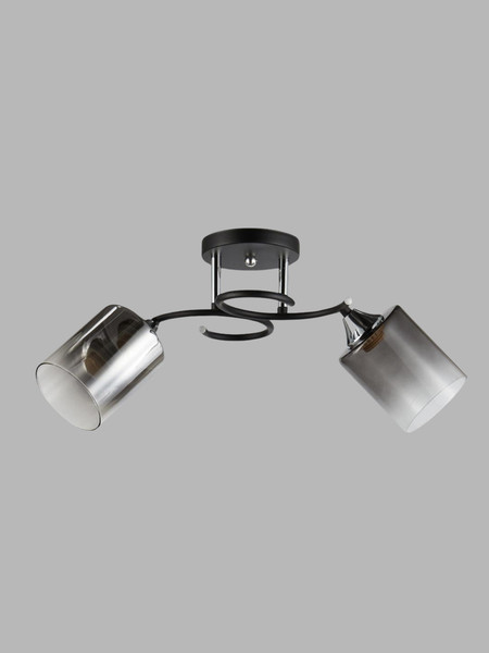 Изображение товара Потолочный светильник Aitin-Pro НПБ 02-2x60-101 / 5014/2 (черный/хром)