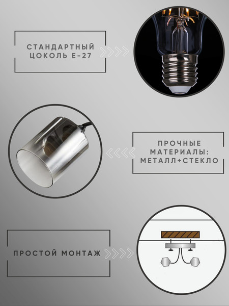 Изображение товара Потолочный светильник Aitin-Pro НПБ 02-2x60-101 / 5014/2 (черный/хром)