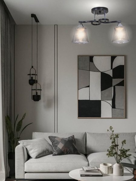 Изображение товара Потолочный светильник Aitin-Pro НПБ 02-2x60-101 / 6089/2 (черный/хром)