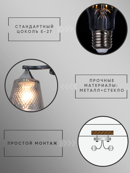 Изображение товара Потолочный светильник Aitin-Pro НПБ 02-2x60-101 / 6089/2 (черный/хром)