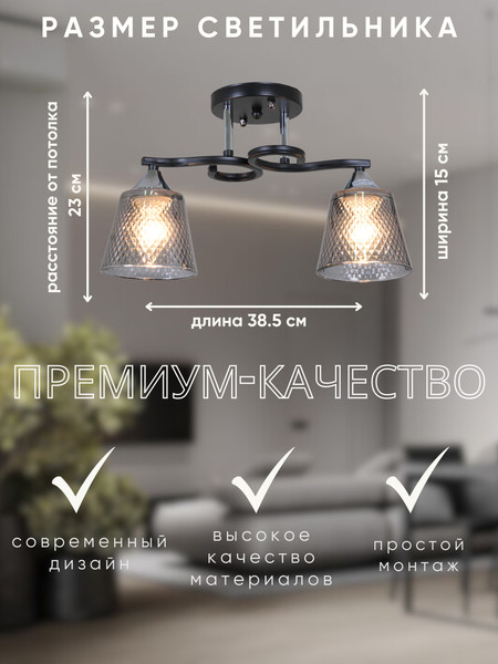 Изображение товара Потолочный светильник Aitin-Pro НПБ 02-2x60-101 / 6089/2 (черный/хром)