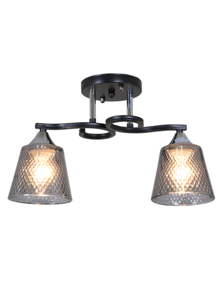 Изображение товара Потолочный светильник Aitin-Pro НПБ 02-2x60-101 / 6089/2 (черный/хром)