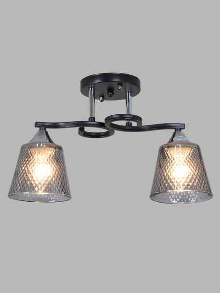 Изображение товара Потолочный светильник Aitin-Pro НПБ 02-2x60-101 / 6089/2 (черный/хром)