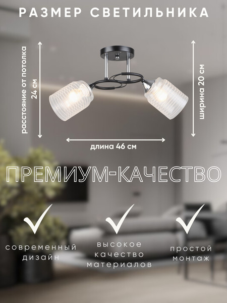 Изображение товара Потолочный светильник Aitin-Pro НПБ 02-2x60-101 / K2246/2 (черный/хром)