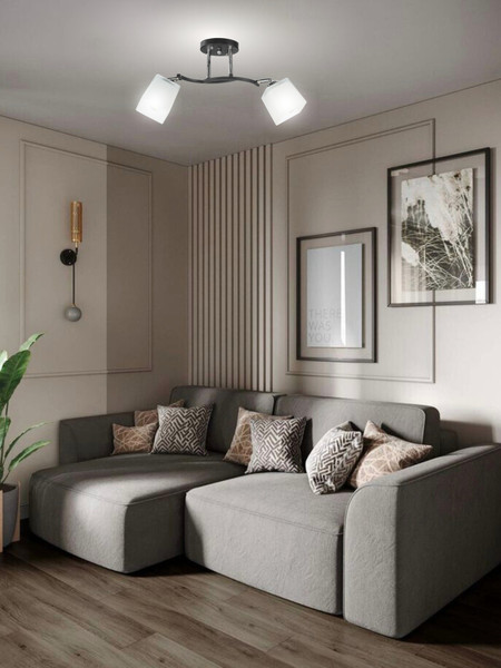 Изображение товара Спот Aitin-Pro НПБ 02-2x60-101 / N6106/2 (черный/хром)