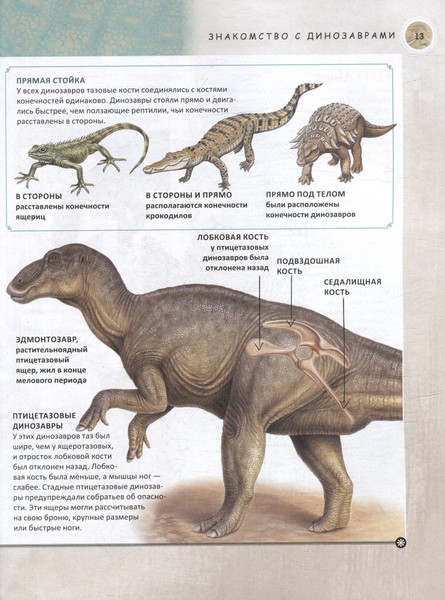 Изображение товара Энциклопедия Росмэн Динозавры. Полная энциклопедия / 9785353111467