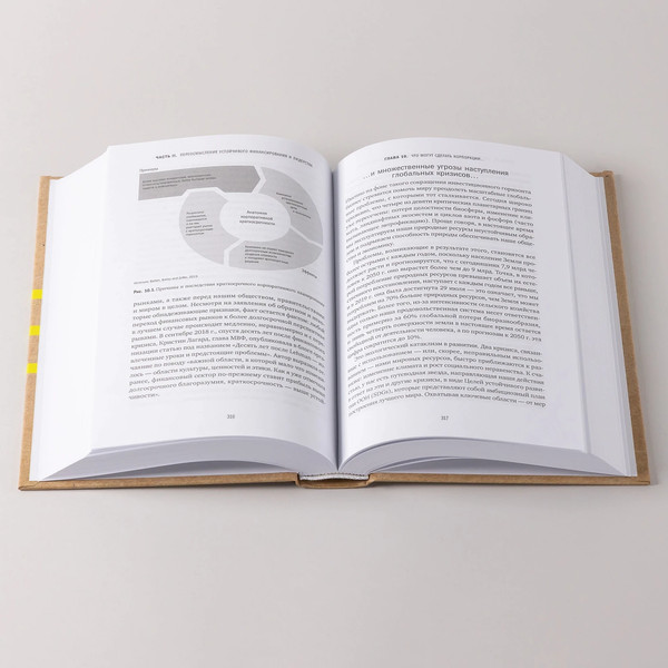 Изображение товара Книга Альпина Устойчивое инвестирование, твердая обложка (Бриль Герман, Келл Георг, Раше Андреас)