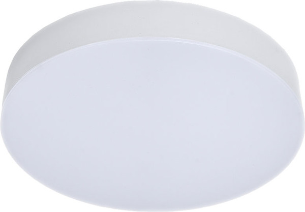 Изображение товара Потолочный светильник Truenergy 11152