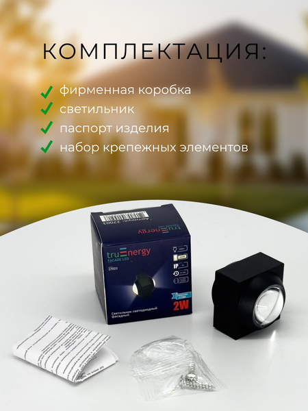 Изображение товара Светильник уличный Truenergy 27003