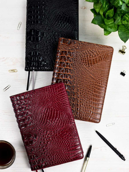 Изображение товара Ежедневник Escalada Аллигатор / 67177 (160л, черный)