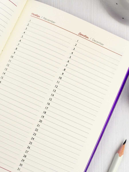 Изображение товара Ежедневник Escalada Бейбискин / 67280 (160л, сиреневый)