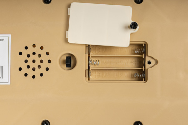 Изображение товара Самокат детский Ricos TiKKi KB109 (бежевый)