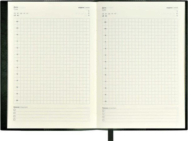 Изображение товара Ежедневник Escalada Шеврет / 67192 (160л, темно-зеленый)