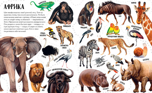 Изображение товара Развивающая книга CLEVER Приключения улитки Элли в мире животных мягкая обложка (Константиновская Ольга)