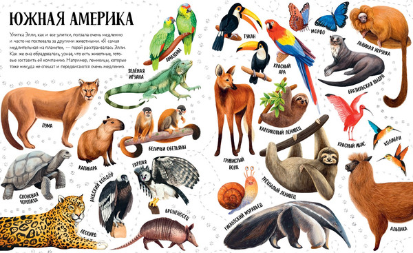 Изображение товара Развивающая книга CLEVER Приключения улитки Элли в мире животных мягкая обложка (Константиновская Ольга)