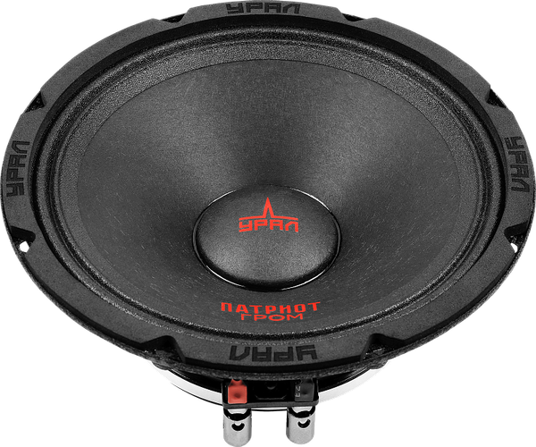 Изображение товара Среднечастотная АС Урал Патриот Гром АС-ПТ165.2 