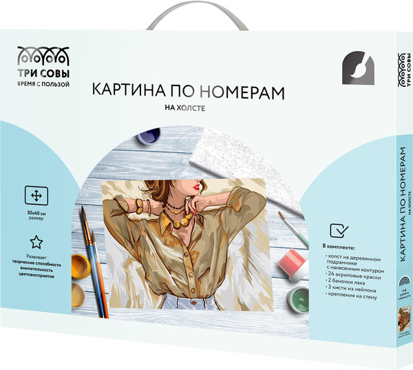 Изображение товара Картина по номерам Три совы Аксессуары в женском образе / KX3040_30006