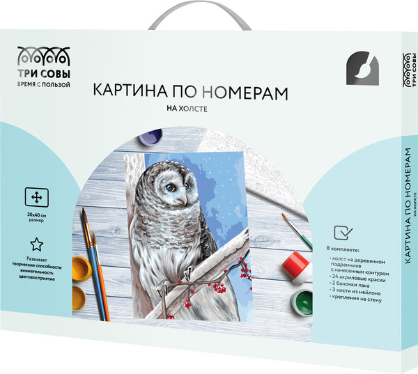 Изображение товара Картина по номерам Три совы Белая сова / КХ3040_53849