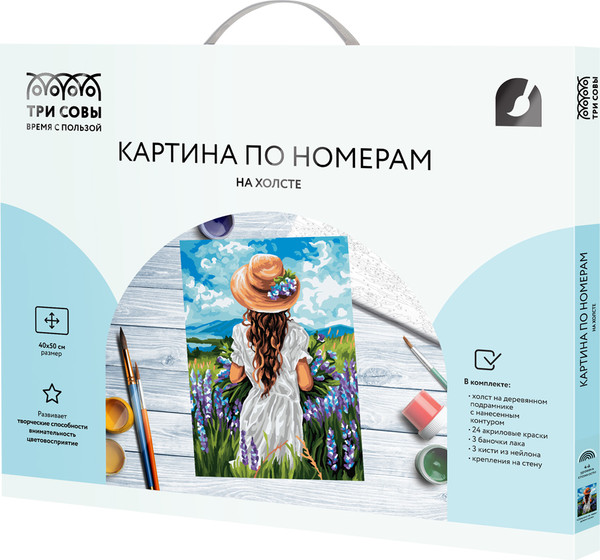 Изображение товара Картина по номерам Три совы Девушка на лавандовом поле / КХ4050_53946