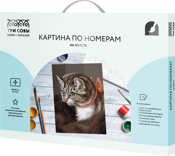 Изображение товара Картина по номерам Три совы Любимая кошка / КХ3040_53842