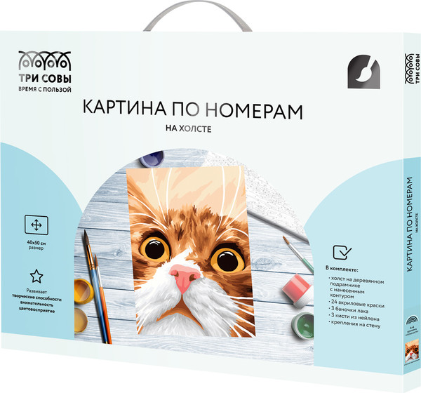 Изображение товара Картина по номерам Три совы Усатый-полосатый / KX4050_40003