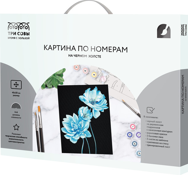 Изображение товара Картина по номерам Три совы Голубые цветы / КХп_48160