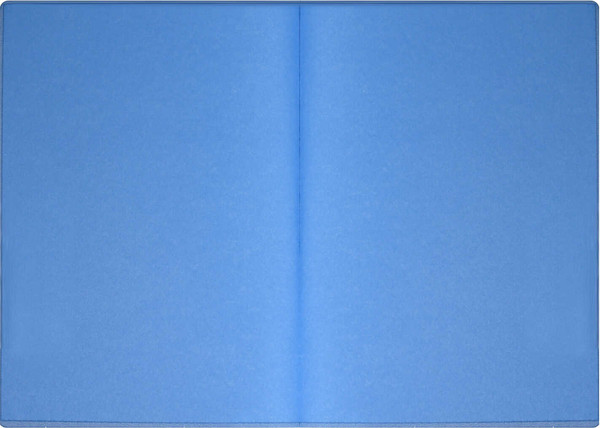 Изображение товара Ежедневник Escalada Бейбискин / 67278 (160л, голубой)