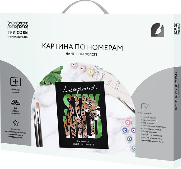 Изображение товара Картина по номерам Три совы Оставайся диким / КХп_48164