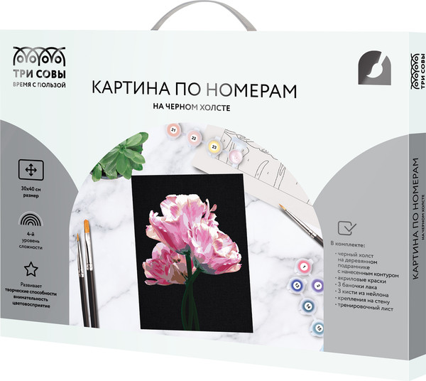 Изображение товара Картина по номерам Три совы Розовые цветы / КХп_48141