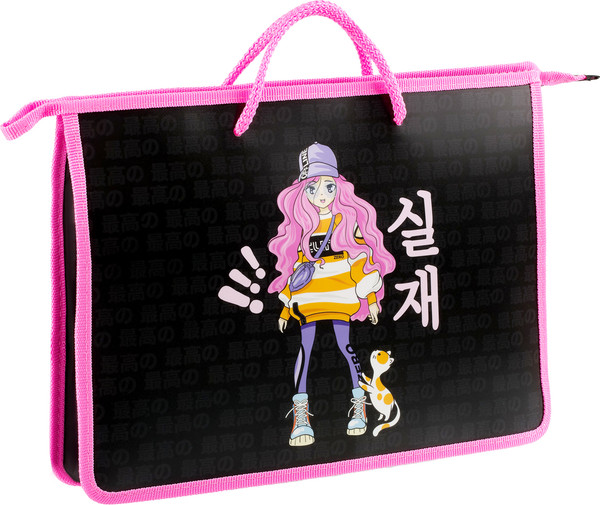 Изображение товара Папка-портфель ArtSpace Stylish / ПТ-15_60161