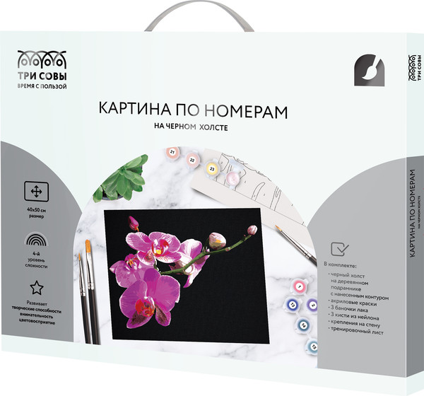 Изображение товара Картина по номерам Три совы Цветы орхидеи / КХп_48159
