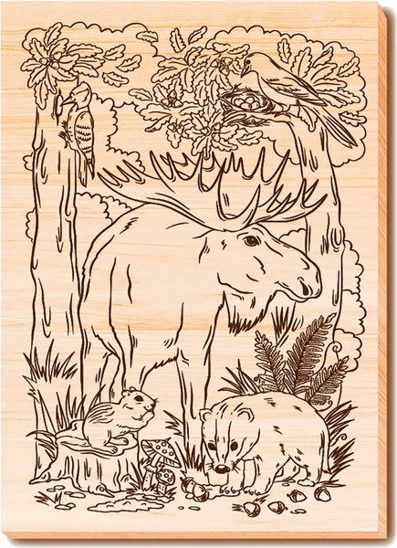 Изображение товара Набор досок для выжигания Десятое королевство Животный мир / 04956