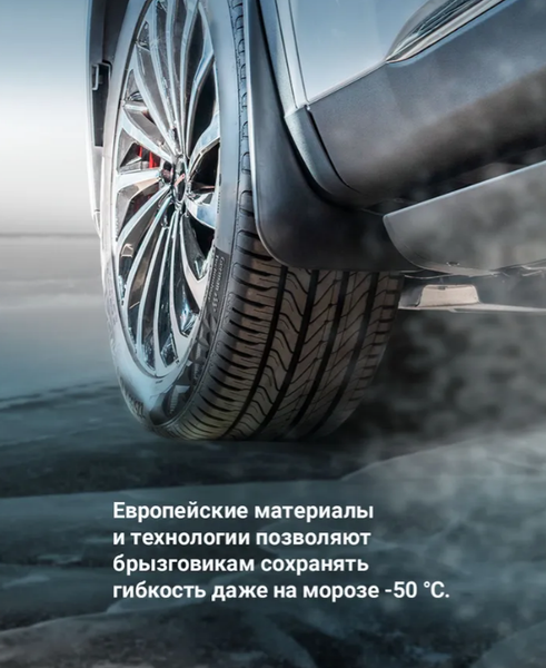 Изображение товара Комплект брызговиков FROSCH NLF.52.42.E12 для Lada Largus Cross (2шт, задний)