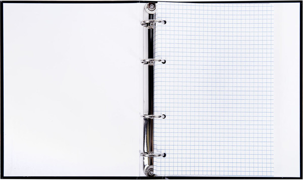 Изображение товара Тетрадь Brauberg 404713 (120л)