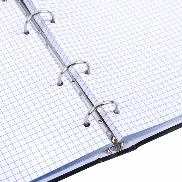 Изображение товара Тетрадь Brauberg 404713 (120л)