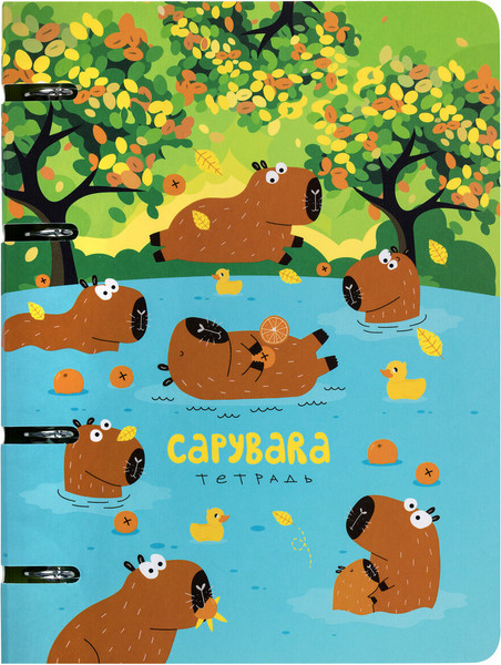 Изображение товара Тетрадь Brauberg 404731 (120л, клетка)