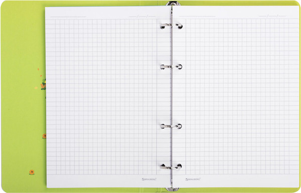 Изображение товара Тетрадь Brauberg 404731 (120л, клетка)