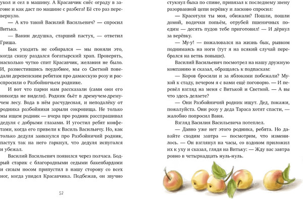 Изображение товара Книга CLEVER Деревенские приключения. Тайна Гусиных Лапок твердая обложка (Снесарь Андрей)