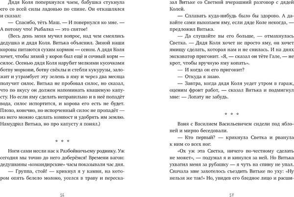 Изображение товара Книга CLEVER Деревенские приключения. Тайна Гусиных Лапок твердая обложка (Снесарь Андрей)